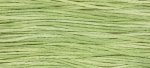 (image for) Wasabi